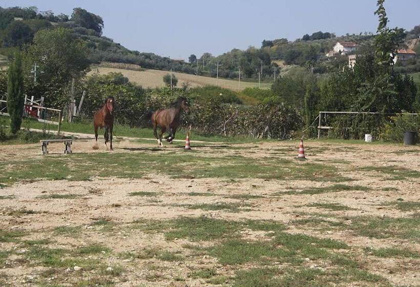 田舎風ホテル Agriturismo Vecchia Monta