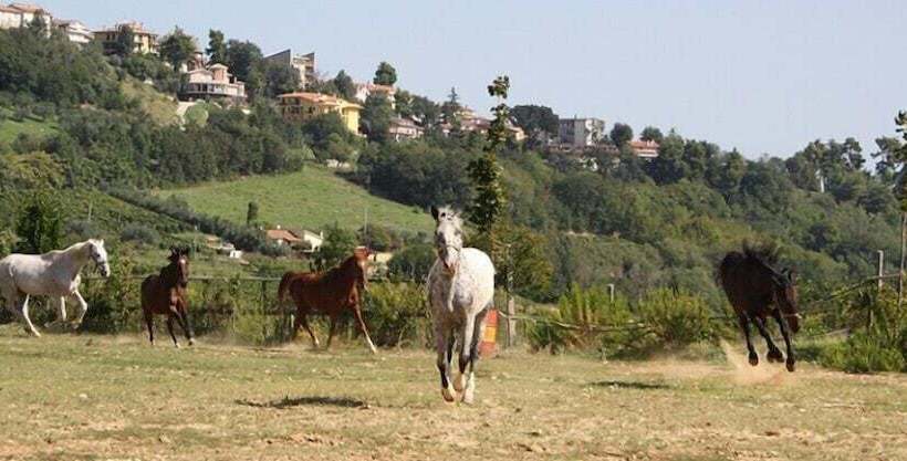 田舎風ホテル Agriturismo Vecchia Monta