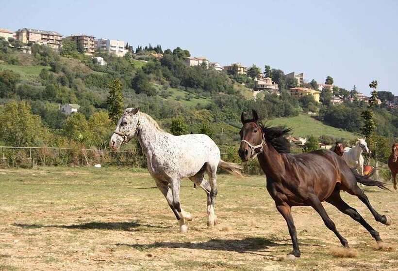 田舎風ホテル Agriturismo Vecchia Monta