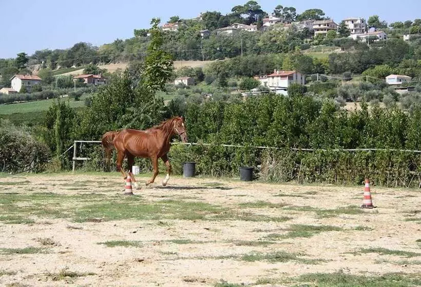 هتل روستایی Agriturismo Vecchia Monta