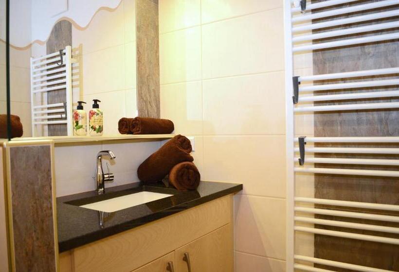 فندق ريفى Denggnhof