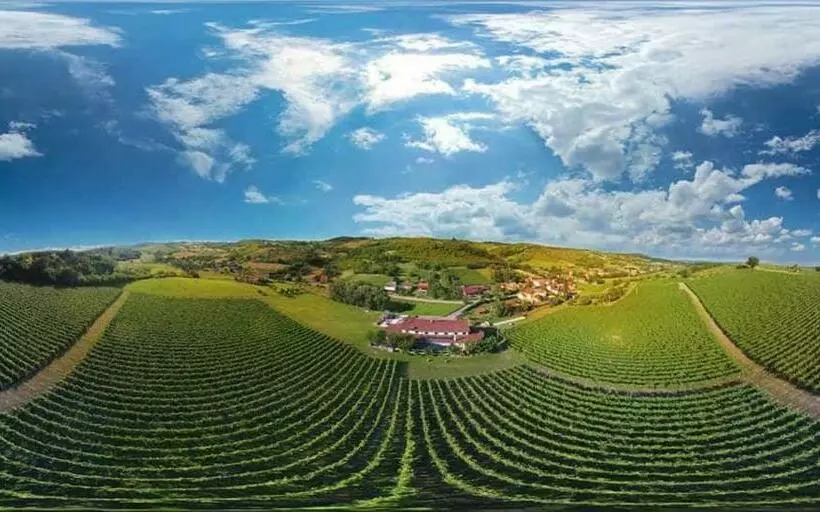 Hotelli Stupnički Dvori Winery