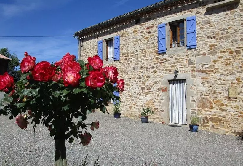 ペンション Gîtes & Chambres D Hôtes Peyrecout