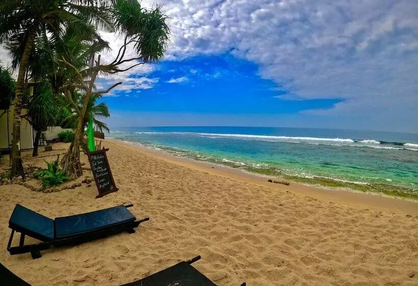 Majatalo Reef Garden