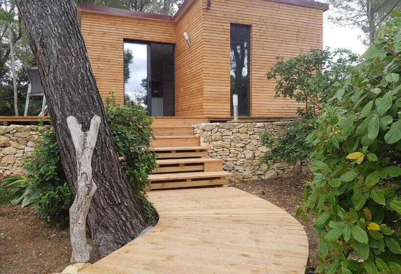 ペンション Sous Les Pins