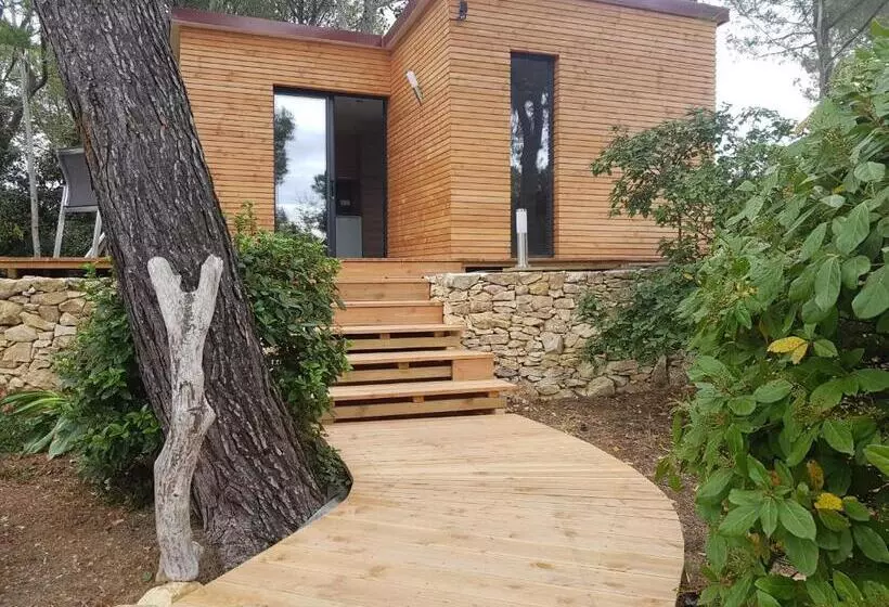 ペンション Sous Les Pins