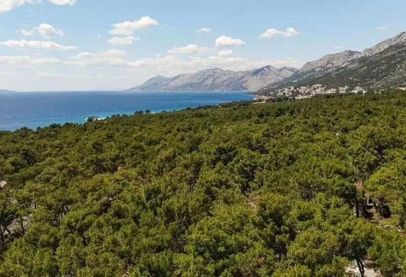 リゾートホテル Mediteran Travel Mobile Homes Basko Polje