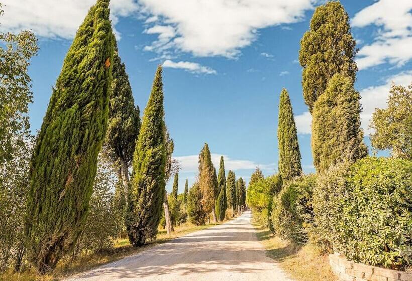 Private Garden And Pool, Near Siena And Crete Senesi