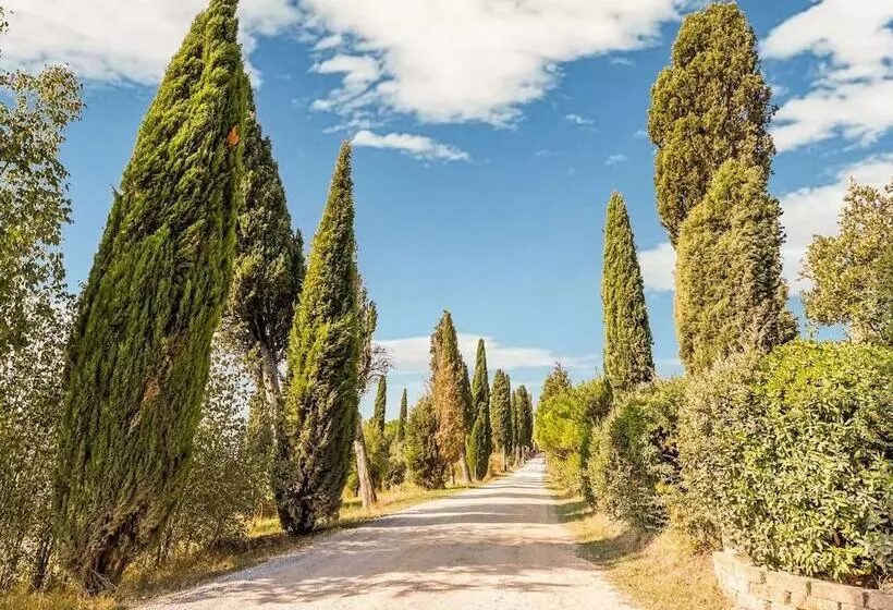 Private Garden And Pool, Near Siena And Crete Senesi