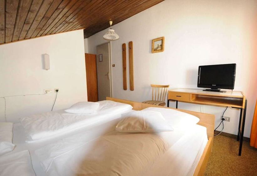 ホテル Ciasa Soreghina