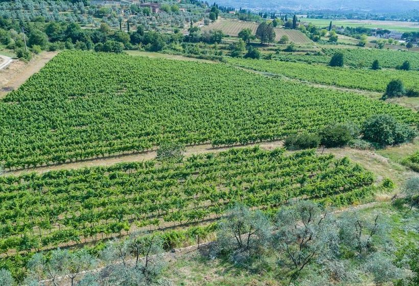 田舎風ホテル Tenuta La Pieve Casale Presciano