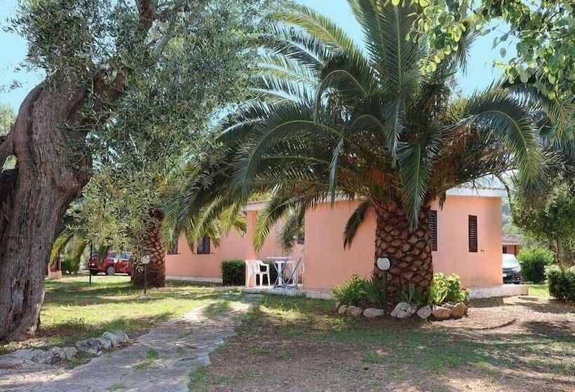 リゾートホテル Villaggio Camping Parco Degli Ulivi