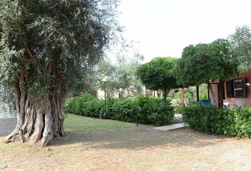 リゾートホテル Villaggio Camping Parco Degli Ulivi