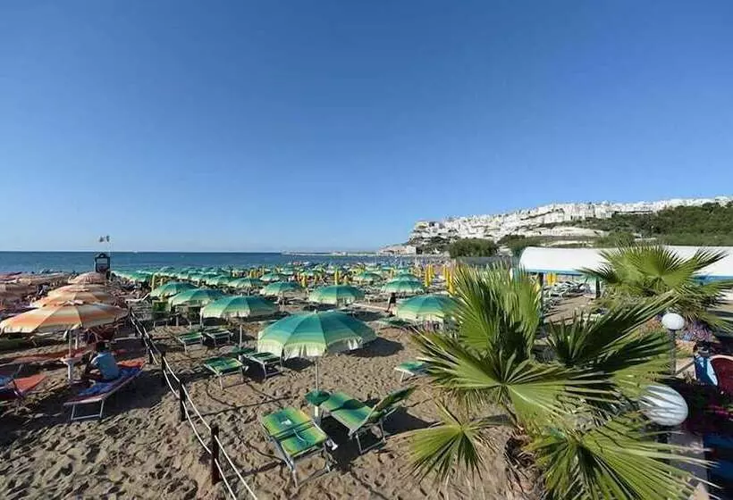 リゾートホテル Villaggio Camping Parco Degli Ulivi