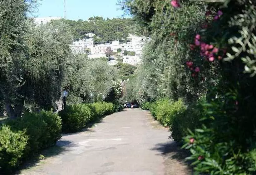 リゾートホテル Villaggio Camping Parco Degli Ulivi