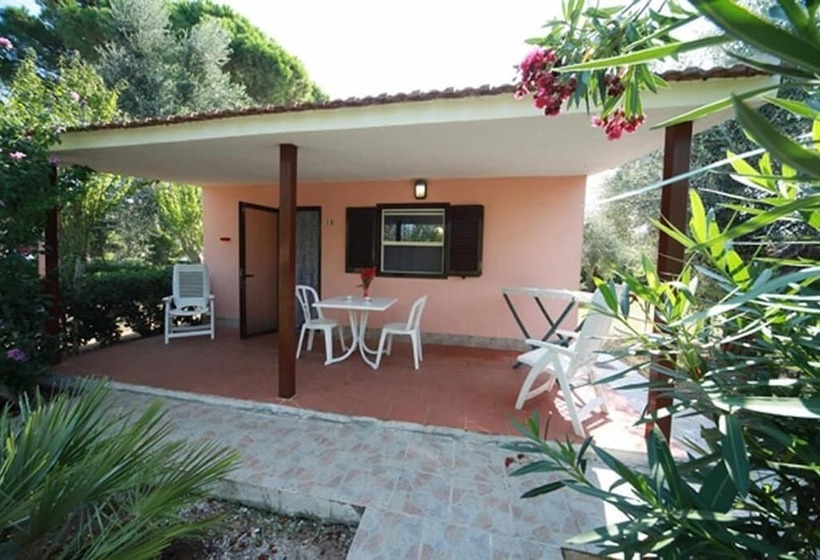 リゾートホテル Villaggio Camping Parco Degli Ulivi