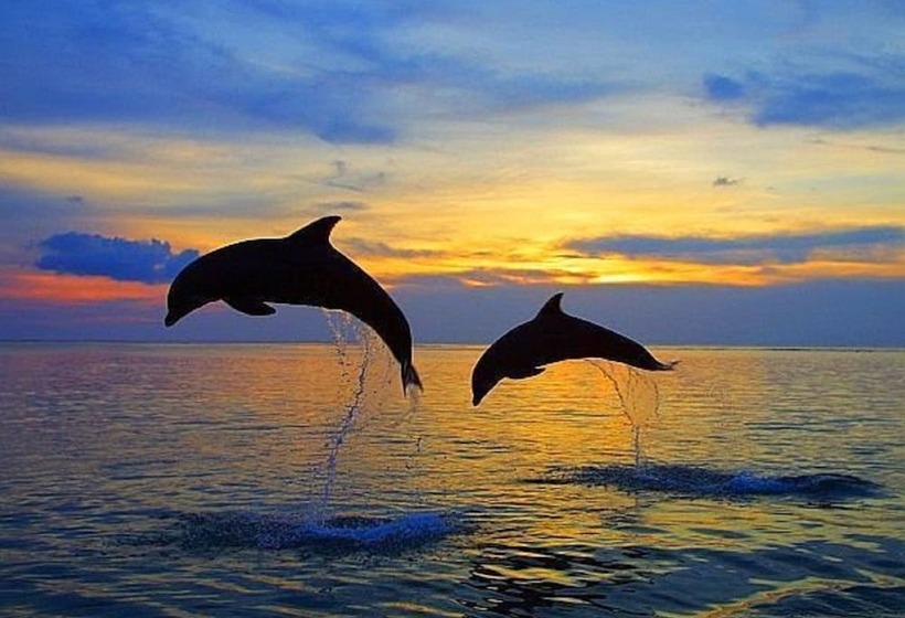 ホテル Adam & Eva