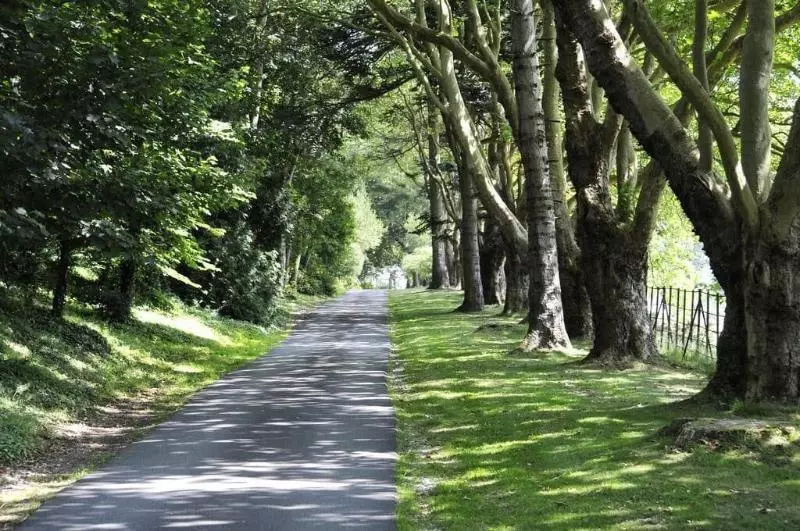 Plas Maenan Country House