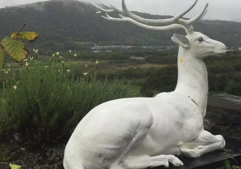 Plas Maenan Country House