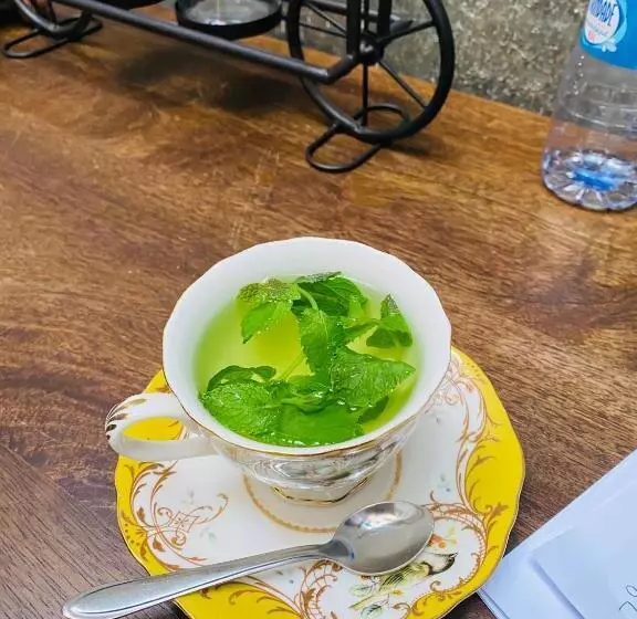 پانسیون Techas City Center Luxurious Suite