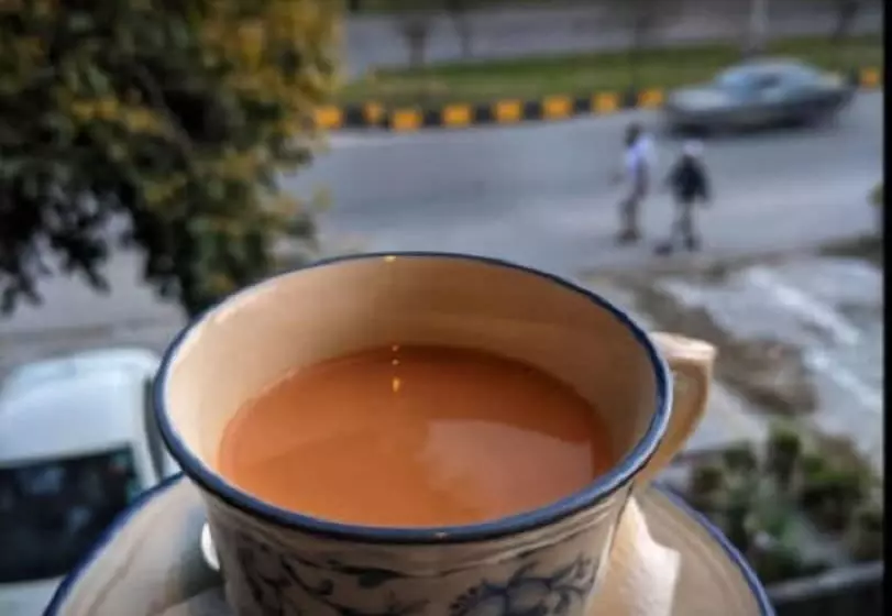 پانسیون Elite Lodge Guest House