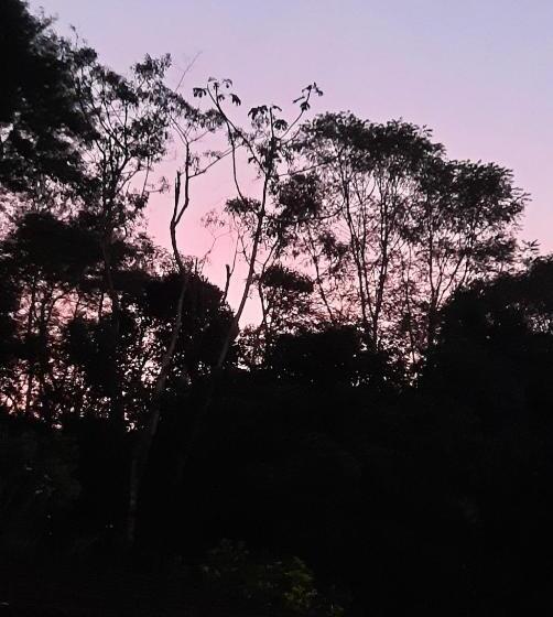 Pensão Suítes Casinha Do Alto Da Bocaina