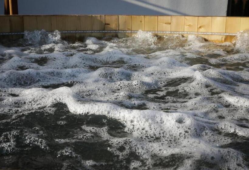 Pensiunea Maramures Guesthouse