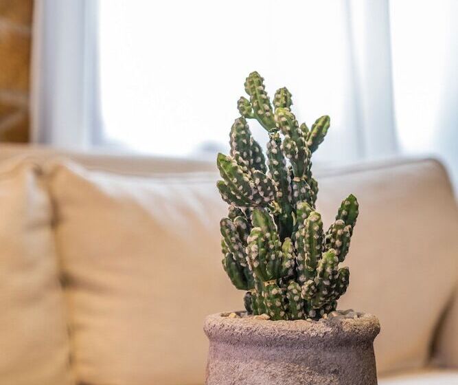 Résidence hôtelière Casa D  Aquila