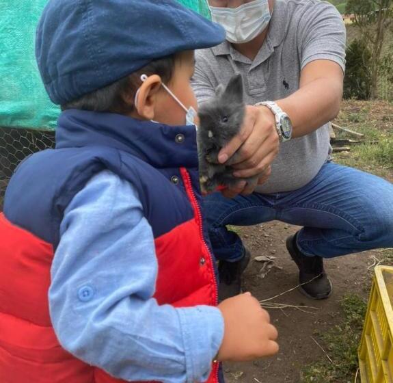 ホテル Campestre La Fuente   Piscina