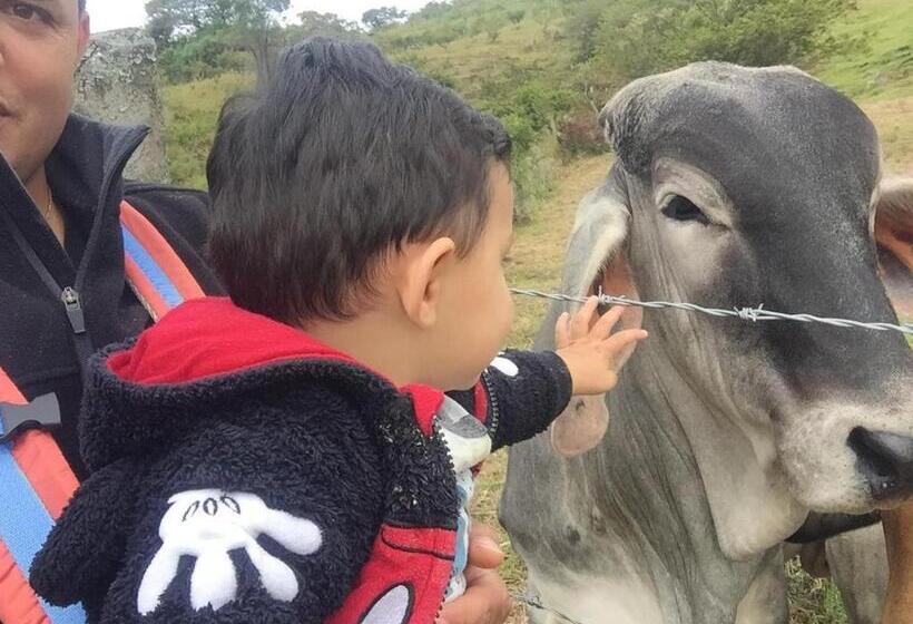 ホテル Campestre La Fuente   Piscina