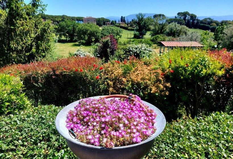 Hôtel Montebello Park