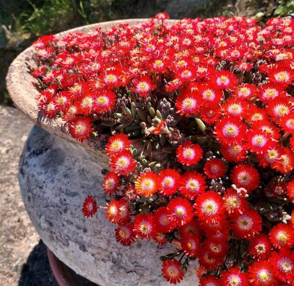 Hôtel Montebello Park