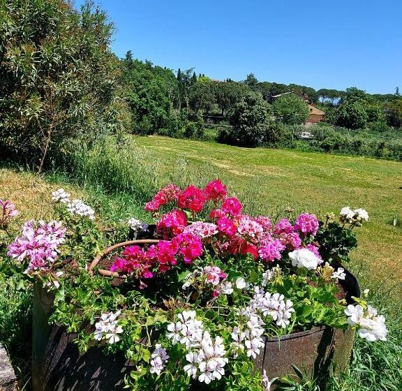 Hôtel Montebello Park