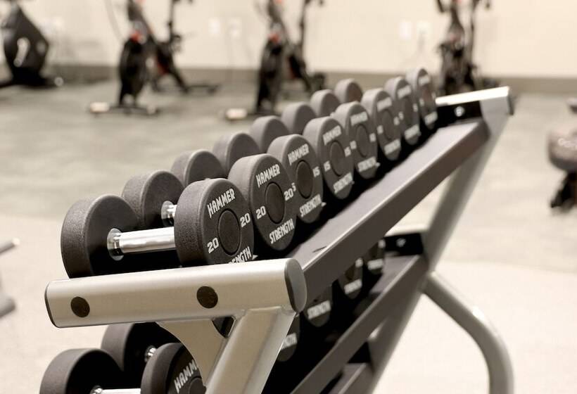 فندق Staybridge Suites Rochester   Mayo Clinic Area, An Ihg