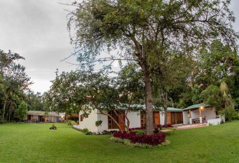 هتل Los Olivos Santiago Atitlan