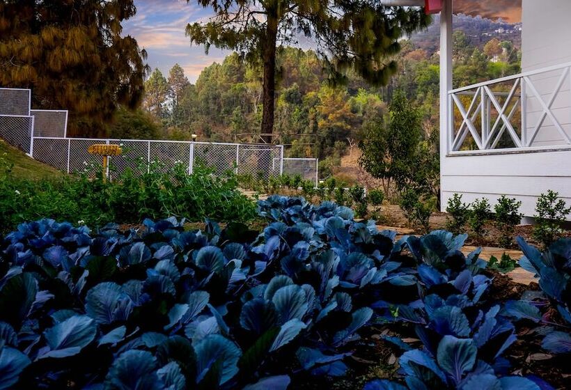 The Nature S Green Resort, Bhimtal, Nainital