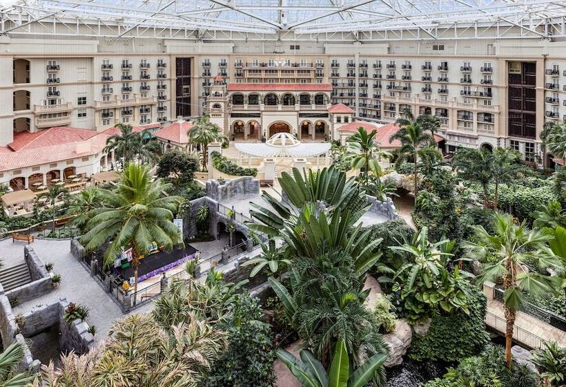 هتل Gaylord Palms Resort & Convention Center