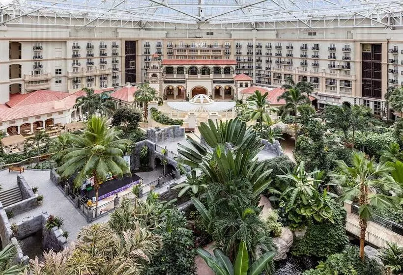 酒店 Gaylord Palms Resort & Convention Center