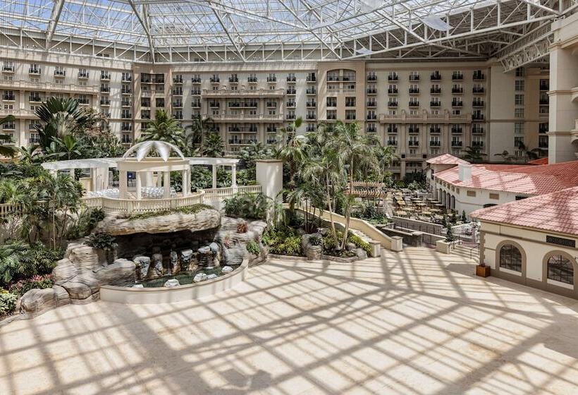 هتل Gaylord Palms Resort & Convention Center