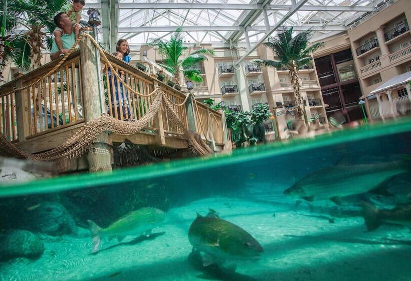 هتل Gaylord Palms Resort & Convention Center