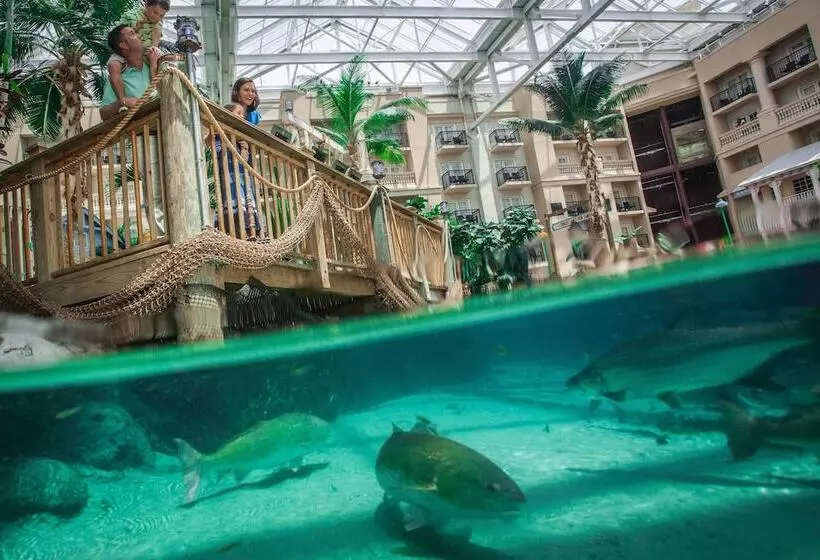 酒店 Gaylord Palms Resort & Convention Center