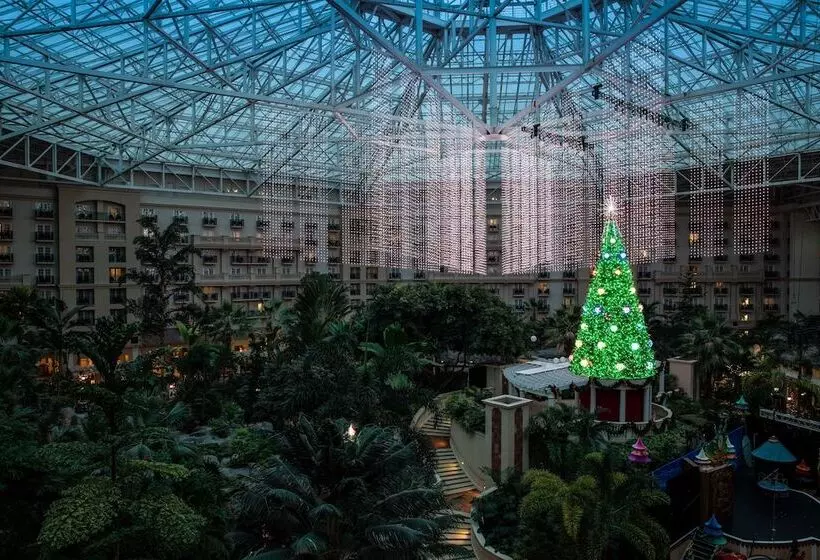 酒店 Gaylord Palms Resort & Convention Center