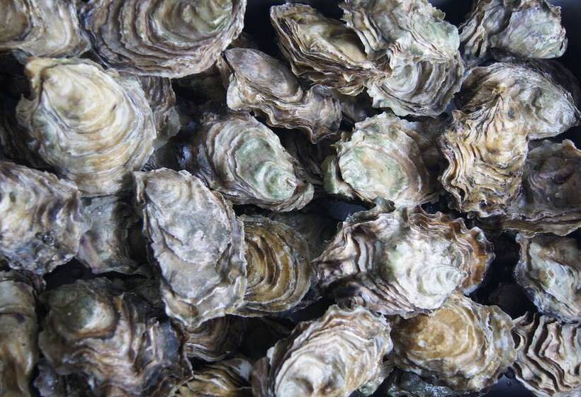 בית מלון כפרי Halsingland