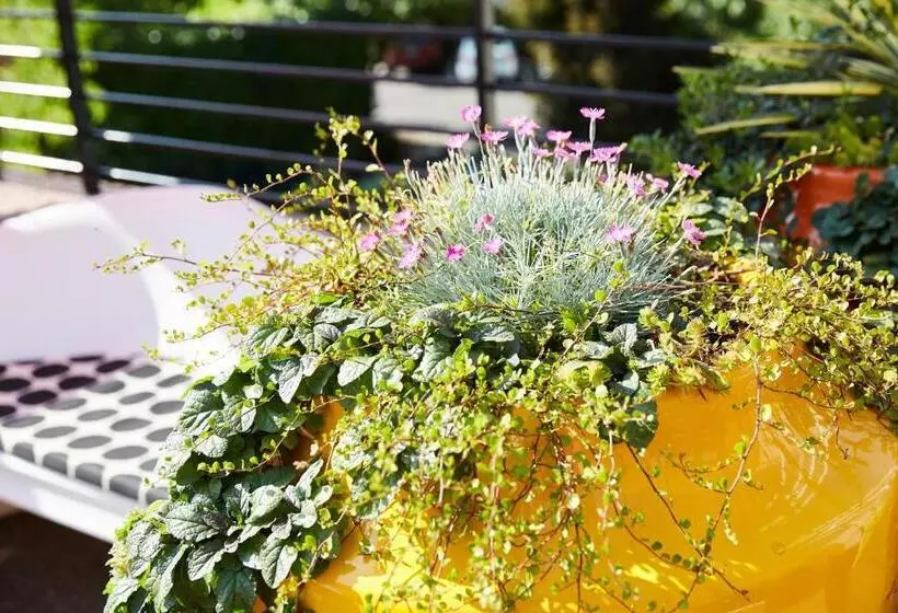 هتل Inn At Northrup Station