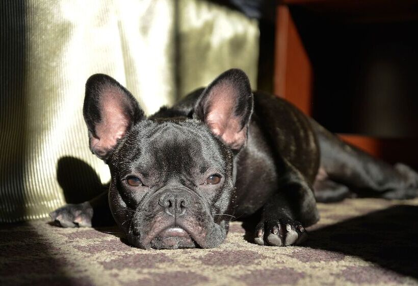 فندق Riversage Billings Inn