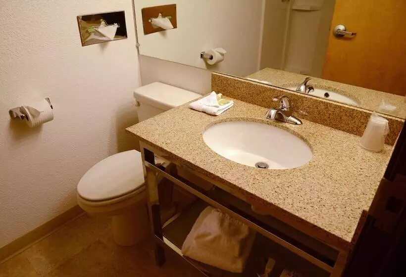 هتل Riversage Billings Inn