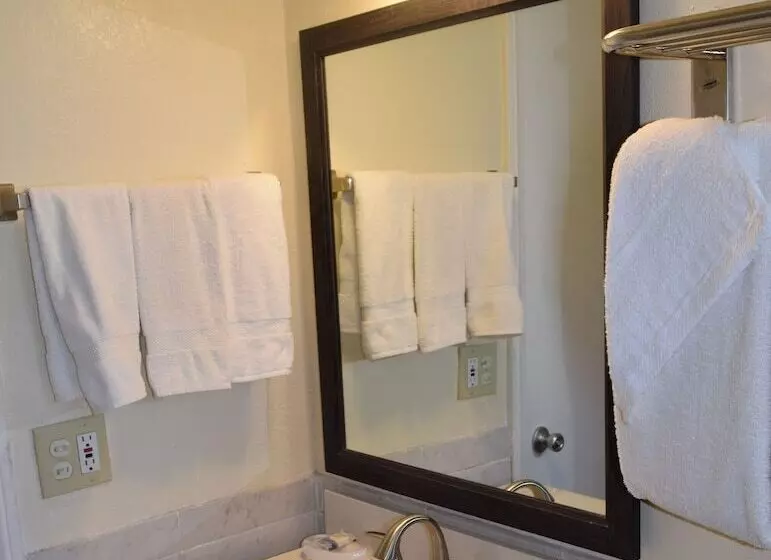 ホテル Stanlunds Inn And Suites