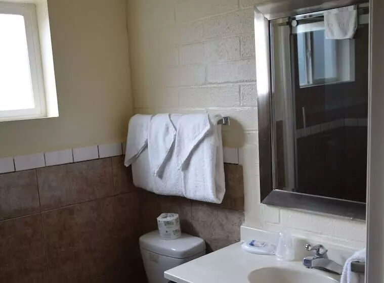 ホテル Stanlunds Inn And Suites