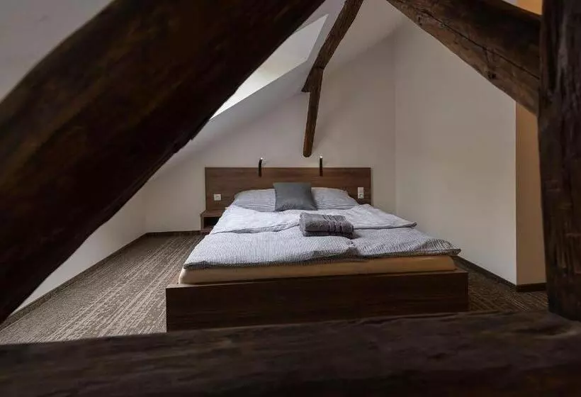 Apartsee Wellness Plzeň