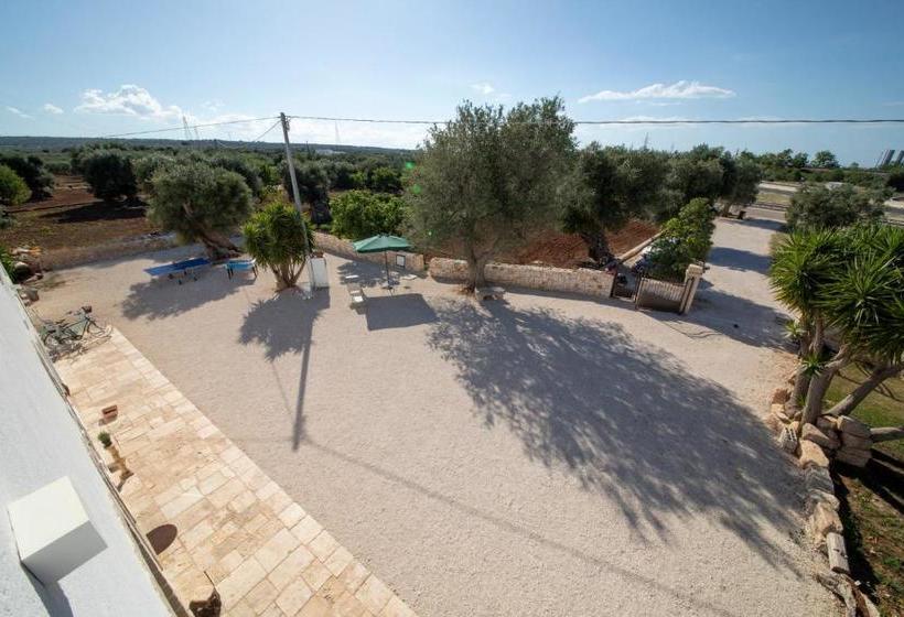 مبيت وإفطار Guardian's House